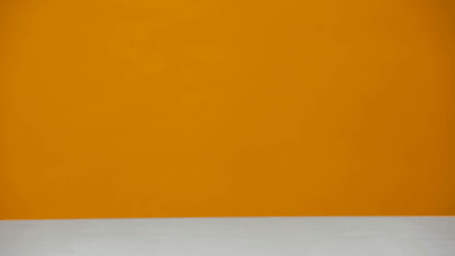 Stoere Dieren 3D Puzzel