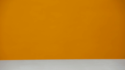 Stoere Dieren 3D Puzzel